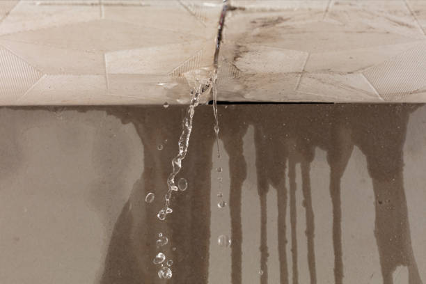 Professional Water Damage Repair technician working in Caldwell, TX
